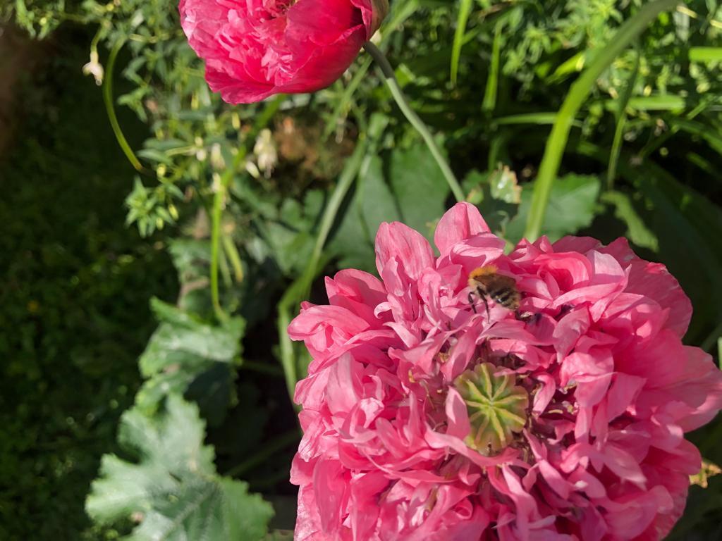 Photo from debmitchener(3)